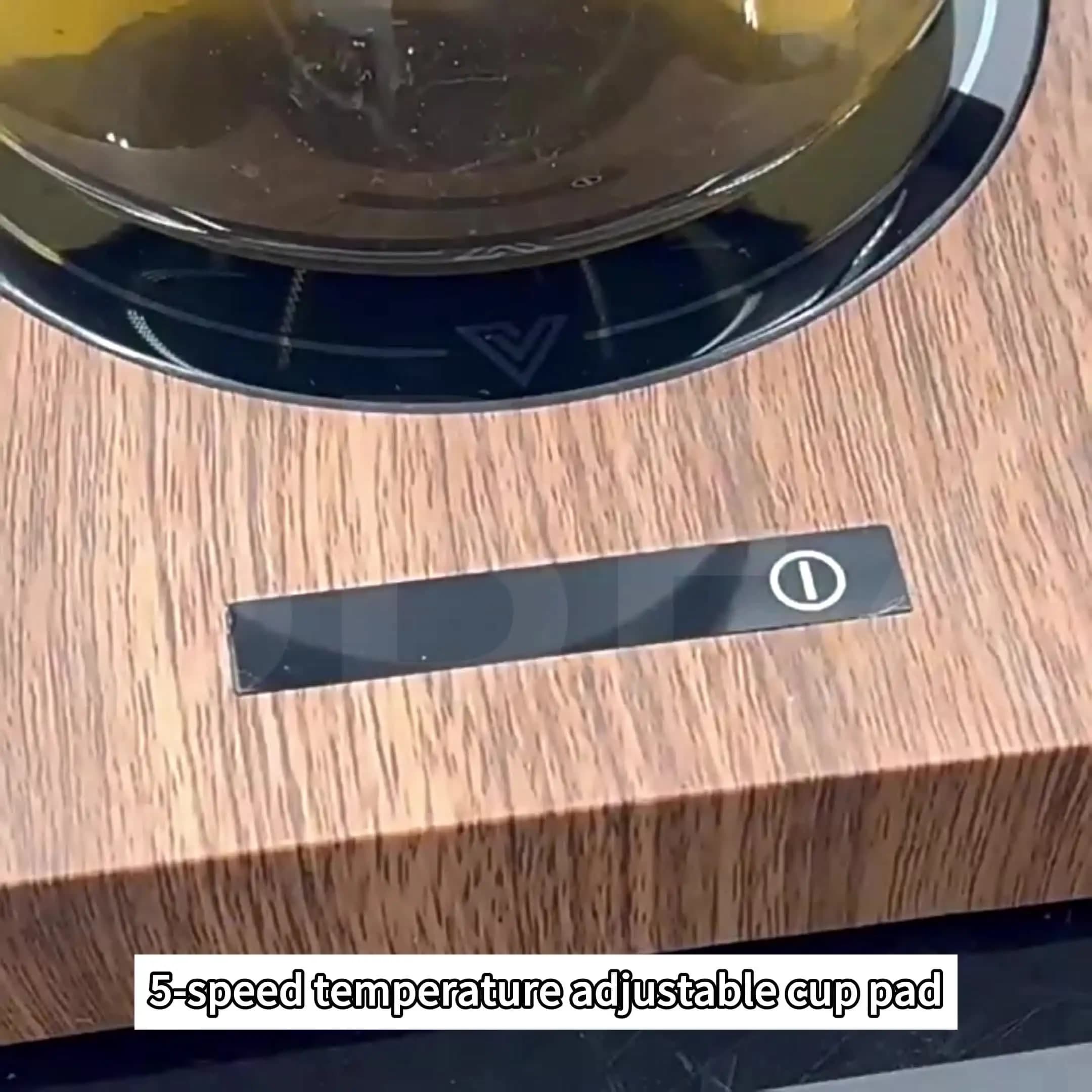 100-degree 5-speed Temperature Adjustable Stainless Steel Insulated Base Quick Heating coaster 200W Constant Temperature USB