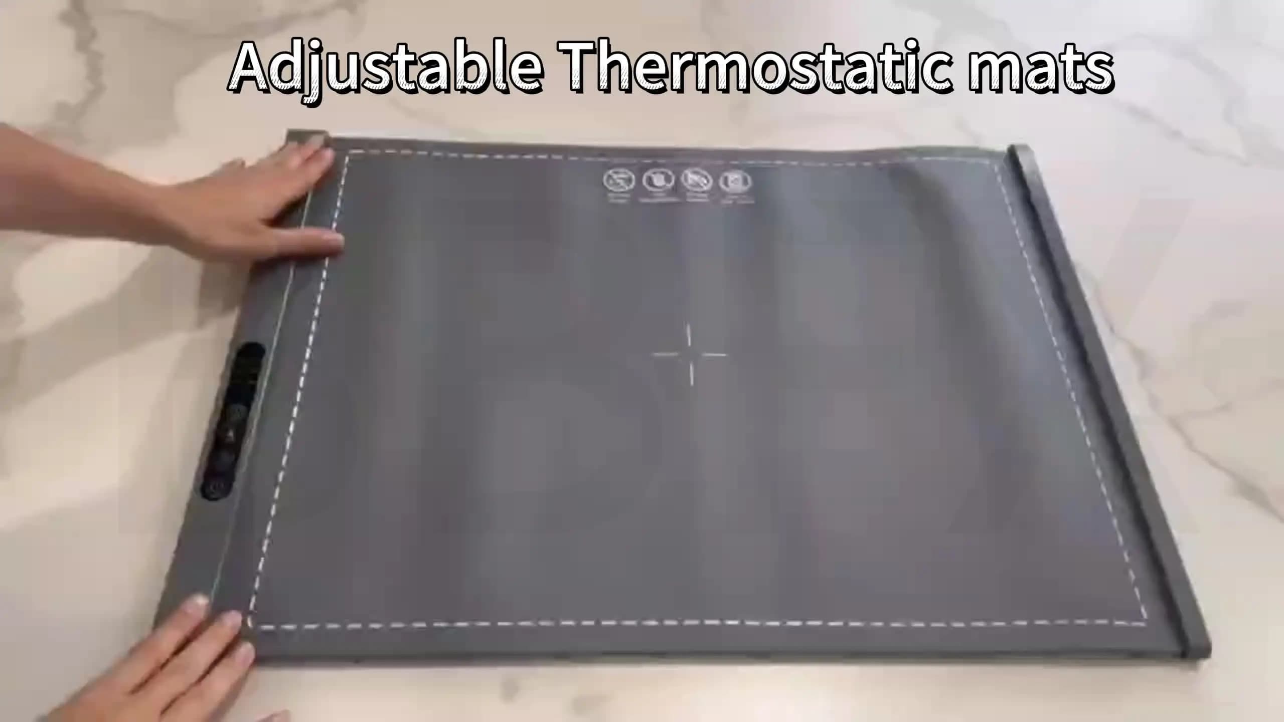 Multi-functional Silicone Plate Warmer Plate for Home Use, Fast Warmer Rice Table Rolled Storage Design Heating Insulation Plate
