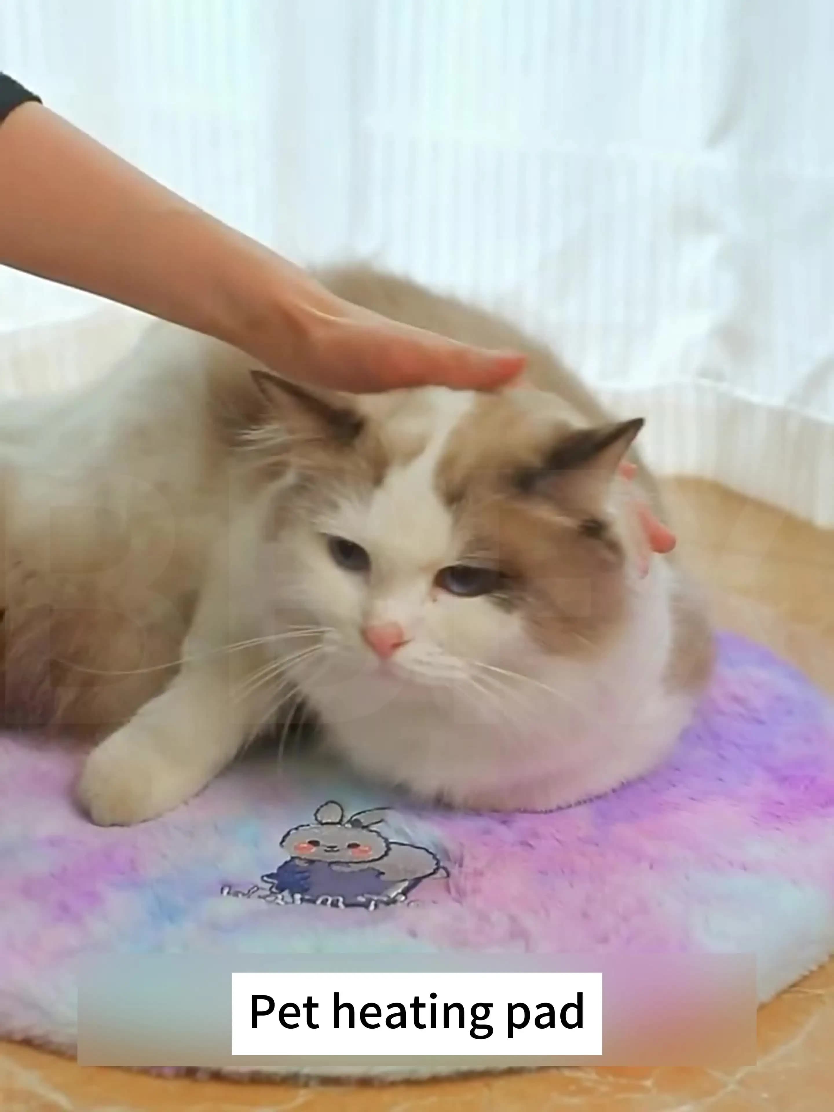 Thermal Pet Heating Pad Cat Constant-Temperature Electric Blanket Waterproof and Bite-Resistant Electric Dog Mat