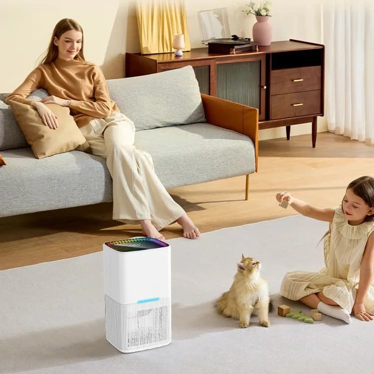 New Model Dehumidifier Household Small-sized Bedroom Dehumidifier Indoor Moisture Removal and Absorption Device Basement Drying 3