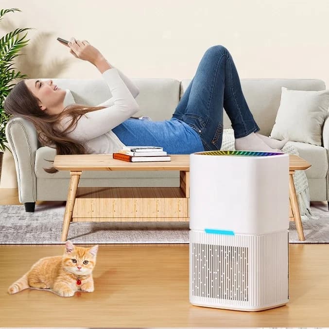 New Model Dehumidifier Household Small-sized Bedroom Dehumidifier Indoor Moisture Removal and Absorption Device Basement Drying 4