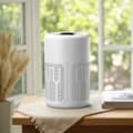 USB air Purifier with Negative Ions a Home air Purifier for Removing Formaldehyde and Odors with an Indoor Odor Remover Function