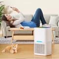 Compact Electric Dehumidifier with Multi-Function Touch Control Panel Detachable Water Reservoir Easy Maintenance Ideal