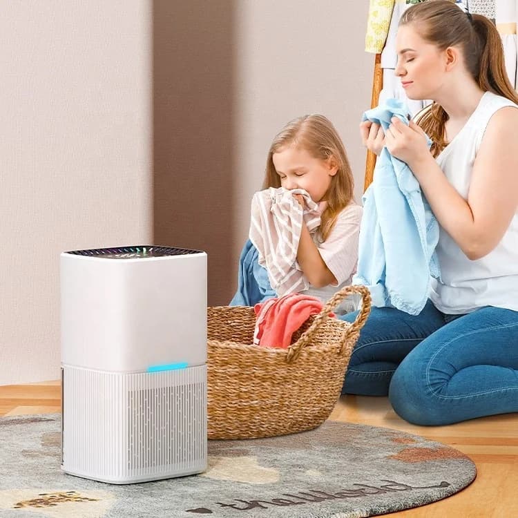 Compact Electric Dehumidifier with Multi-Function Touch Control Panel Detachable Water Reservoir Easy Maintenance Ideal 3